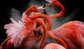 200 Best Ad Photographers worldwide 20/21