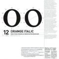 Type Specific : Designing Custom Fonts for Function and Identity