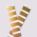 Metallics Solid Coated GG1507C