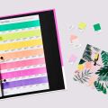 Pastels & Neons Chips Coated & Uncoated GB1504C