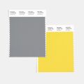 Smart Color Swatch Card Standard SWCD TCX