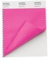 Nylon Brights Swatch Card SWCDTN